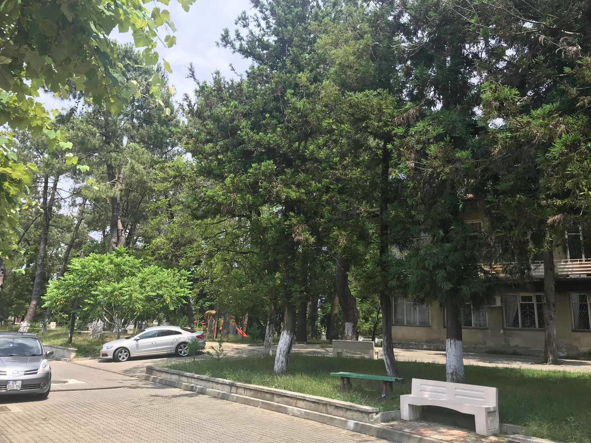 Anna Hostel Kobuleti Zewnętrze zdjęcie
